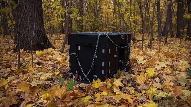 Квест МАЛЕФИСЕНТА
Сказочная квест-история для детей в Элизиуме! смотреть онлайн