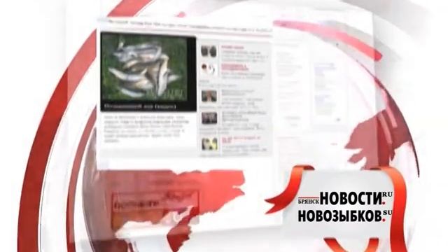 ИА "БрянскНовости" смотреть онлайн