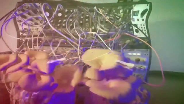 This is how Terraria Glowing Mushroom Music was made смотреть онлайн