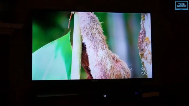 Top 5 Best Android TV 2023 - Best Smart TV Review 2023 смотреть онлайн