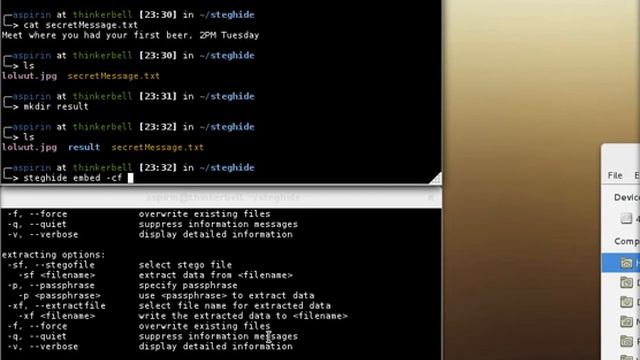 Brief Intro to Steghide смотреть онлайн