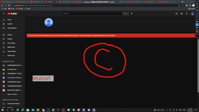 (VERY BAD NEWS!) SilverPolishLogoEditorEntertainment247 has been terminated! смотреть онлайн