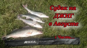 Ловля судака на джиг в Августе. 1 часть.