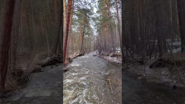 Природа Урала #река #русь #вирусноевидео смотреть онлайн