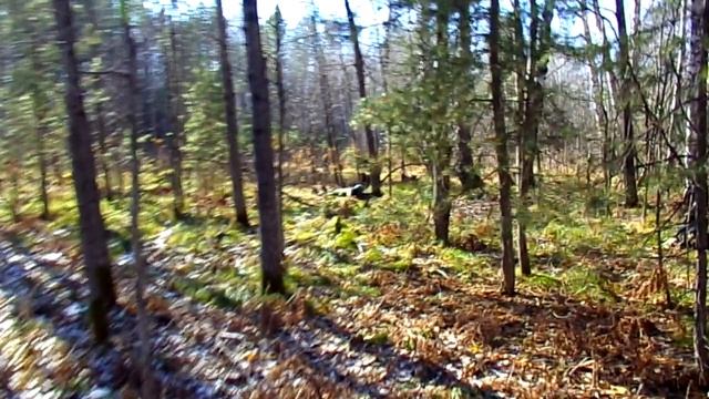 100_0065 смотреть онлайн