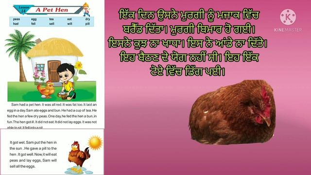 class 2 lesson 14 A Pet Hen@primaryschool4064 смотреть онлайн