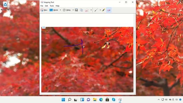 Windows 11'de Ekran Görüntüsü Nasıl Alınır смотреть онлайн