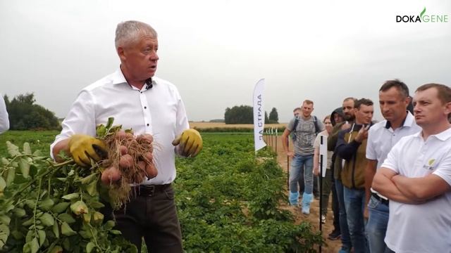 DokaGene сорт КАЛИНКА смотреть онлайн