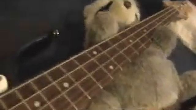 Stuffed Animals Play Radiohead! (2+2=5) смотреть онлайн