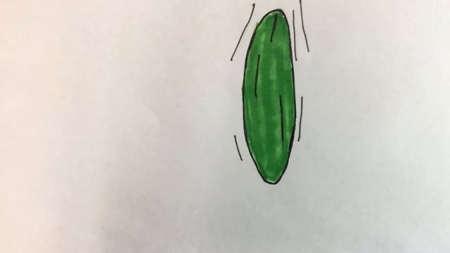 EV 8th Grade Stop Motion Animation смотреть онлайн