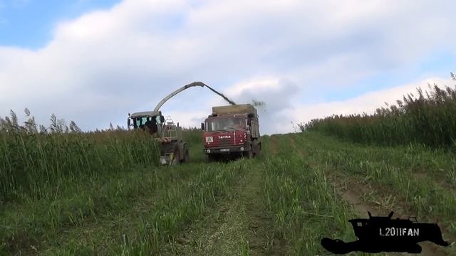 Claas Jaguar 850 - Silage 2014 смотреть онлайн