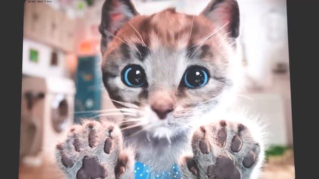 SUPER LITTLE KITTEN ADVENTURE - BABY LEARN COLOURS WITH LITTLE KITTEN PRESCHOOL