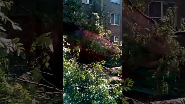 Курск, ПЛК 52 , 22.07.2017 смотреть онлайн