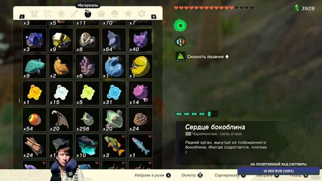 The Legend of Zelda: Tears of the Kingdom #10 смотреть онлайн