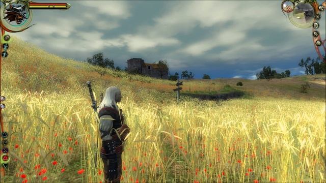 HOW BIG ARE THE MAPS in The Witcher 1? Run Across All Maps смотреть онлайн