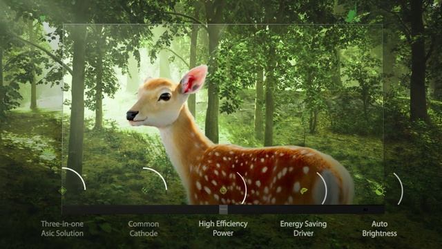 Промовидео Hisense AIO 136DE смотреть онлайн