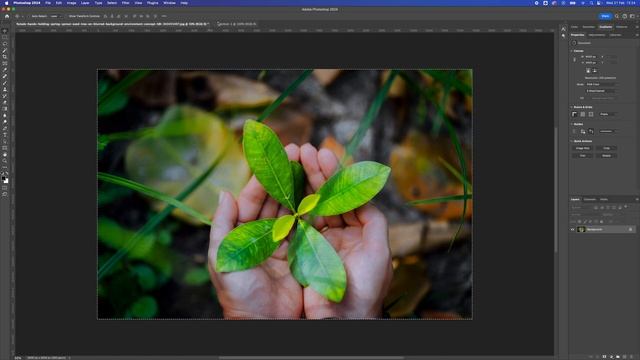 How to Export Images for Web in Adobe Photoshop смотреть онлайн