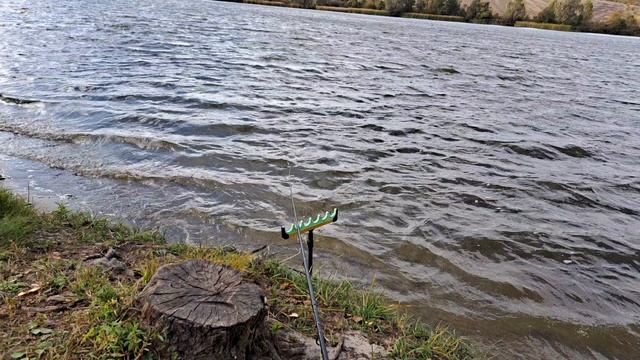 #fishing #карпфишинг #carpfishing #рыбалка #carp #ловлякарпа