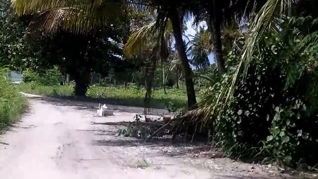 Мальдивы, Остров Тодду, island Thoddoo, прогулка, часть 2 смотреть онлайн