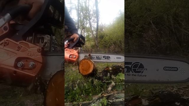Prova Taglio con una Oleo-Mac смотреть онлайн