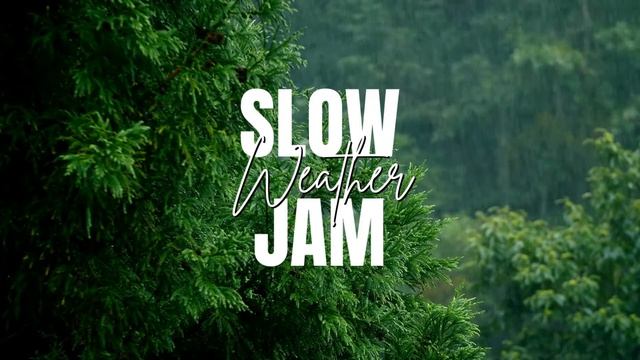Summer Walker Body | Rain on Window Sounds For Sleeping | Slow Jam Weather | Thunder Storms and Rai смотреть онлайн