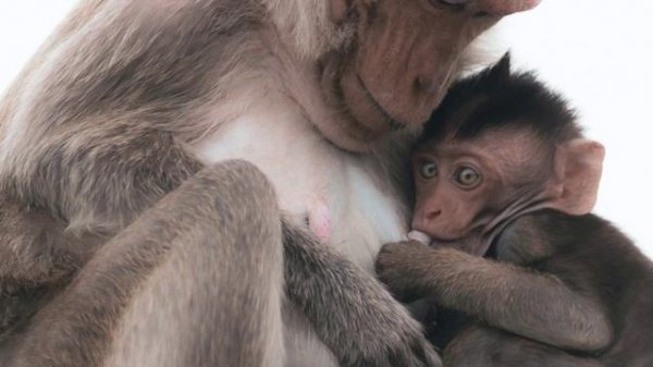 Взгляни внутрь себя_DeepChillMixx