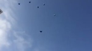 Серпастые голуби, полёт!!! Бахмут