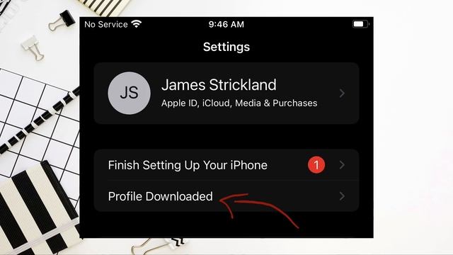 Project QT MOD iOS Android (2024) смотреть онлайн