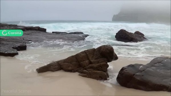 Free Download MediaGet 2023 | New Guide MediaGet 2023 | Free Install MediaGet 2023 | Tutorial