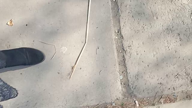 я иду дамой смотреть онлайн