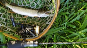 Домашняя микро-речка. Второе тестирование CF Nano One SE NSRSE612XULS(0,3-2,5гр)