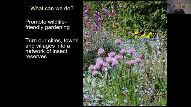 Prof. Dave Goulson "Silent Earth: Saving Our Insects!", Hylla myllret 22 May 2022 смотреть онлайн