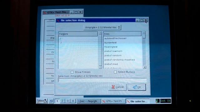 Linux 486 gtk+2-2.12.9 testing after build смотреть онлайн