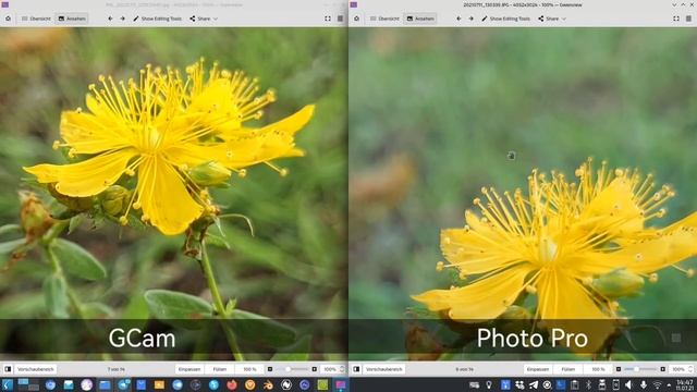 Xperia 1 II - GCam Vs PhotoPro