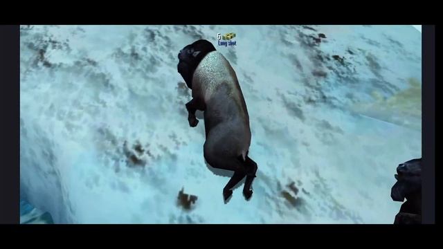 Deer Hunter | Region 5 ELITE SERIES | Deer Hunter Classic смотреть онлайн