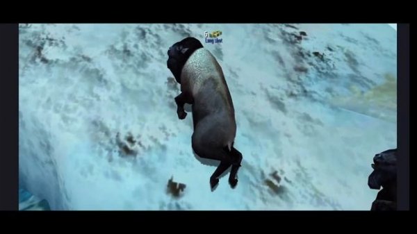 Deer Hunter | Region 5 ELITE SERIES | Deer Hunter Classic