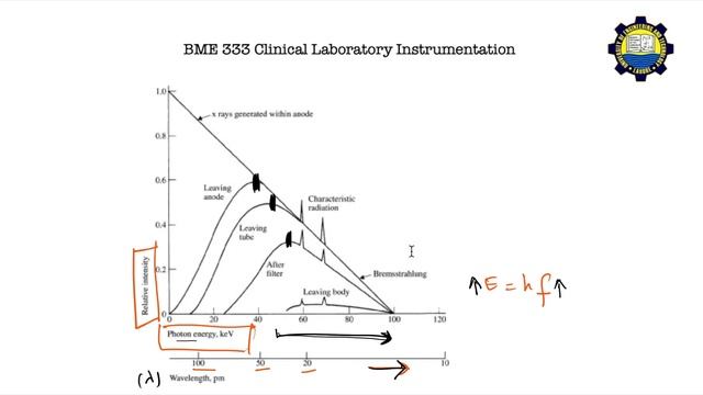 X-Rays смотреть онлайн
