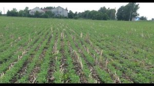 Какой должна быть сеялка для прямого посева NO-TILL