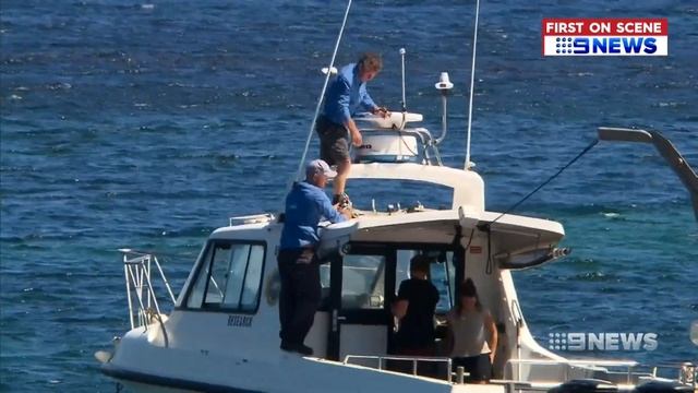 Shark Drumlines | 9 News Perth смотреть онлайн