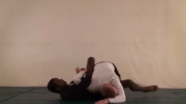 Volume 29 Open Guard Arm Locks Leg Locks and Exotics