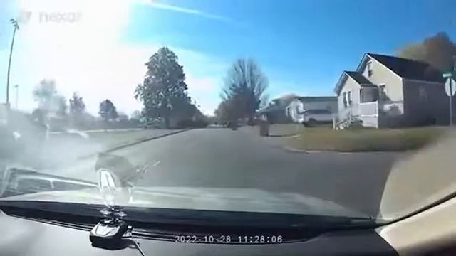 Nexar Beam GPS dash cam - day video capture смотреть онлайн