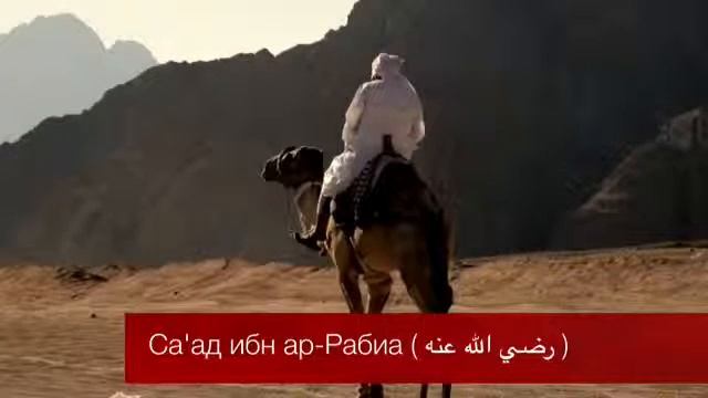 Сподвижник Са'ад ибн ар Рабиа (р.а) смотреть онлайн