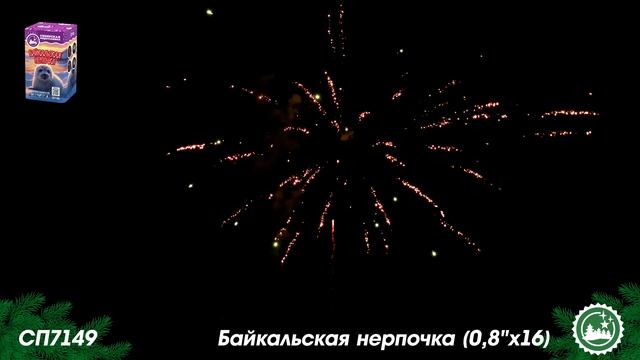 СП7149 смотреть онлайн