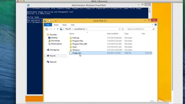 View and Caputre Windows Image Info смотреть онлайн