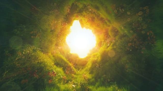Terra Psychedelica смотреть онлайн