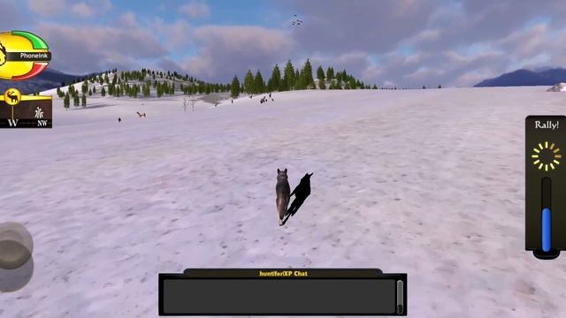 Wolf Quest Multiplayer - Playing With Subscribers - Gameplay Episode 63 смотреть онлайн