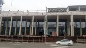 Красивые клумбы возле Администрации Кисловодска. 16.10.2024 г.