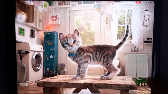 FUNNIEST CUTE LITTLE KITTEN ADVENTURE - MY FAVOURITE KITTY AND ANIMALS FOR A SUPER DRESS-UP PARTY смотреть онлайн