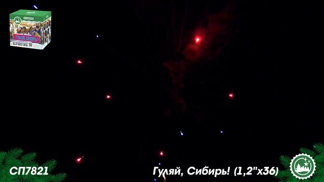 СП7821 смотреть онлайн