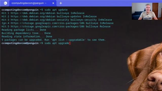 Fix Linux ChromeOS update problems with these two commands смотреть онлайн